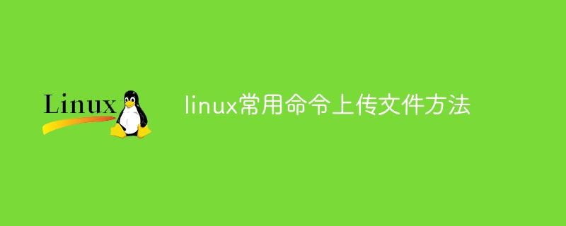 linux常用命令上传文件方法