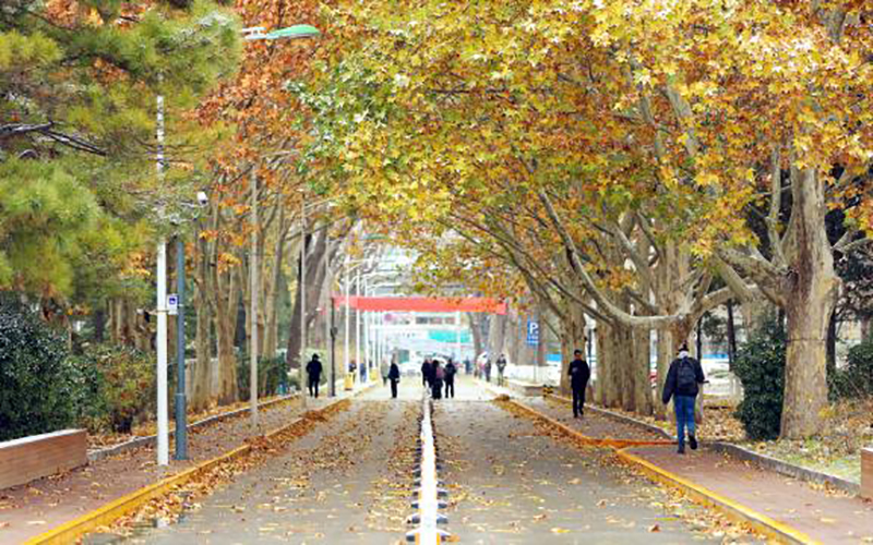 北京师范大学