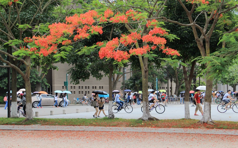 北京师范大学珠海分校