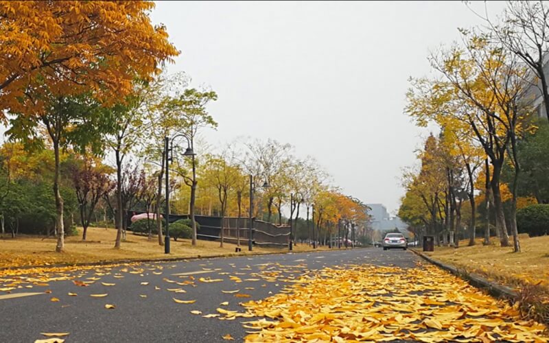 浙江商业职业技术学院