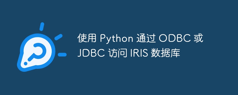 使用 Python 通过 ODBC 或 JDBC 访问 IR