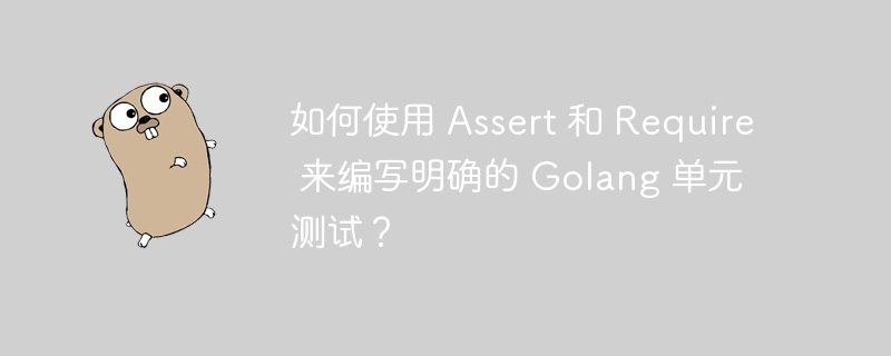 如何使用 Assert 和 Require 来编写明确的 G