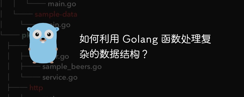 如何利用 Golang 函数处理复杂的数据结构？