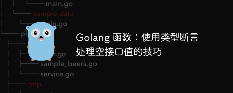 Golang 函数：使用类型断言处理空接口值的技巧