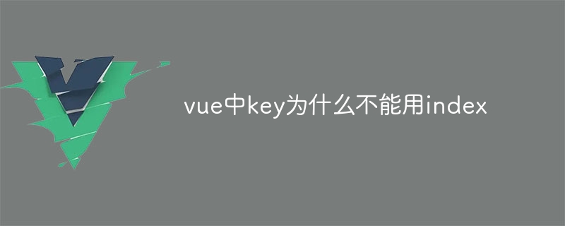 vue中key为什么不能用index