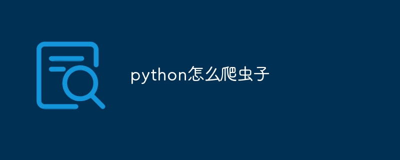 python怎么爬虫子