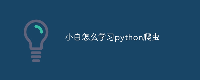 小白怎么学习python爬虫