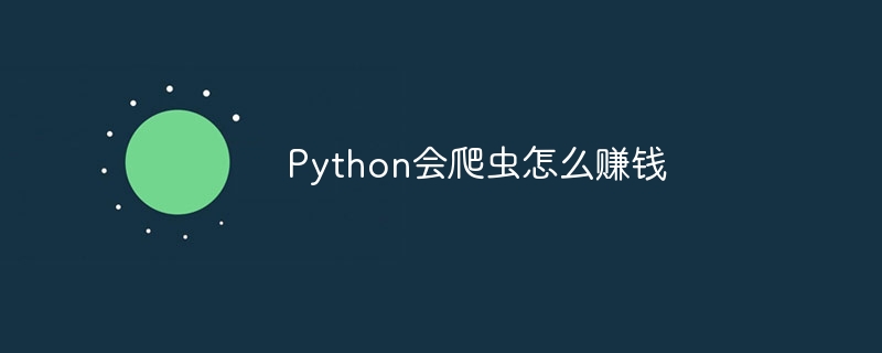 Python会爬虫怎么赚钱