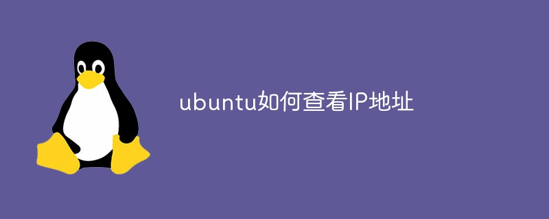 ubuntu如何查看IP地址