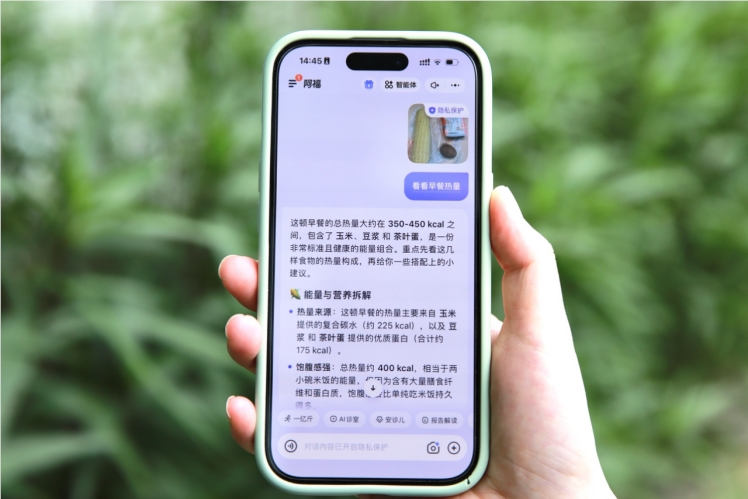 拍张照就能算出热量：阿福上线“AI拍饮食”，把“少吃”升级成“会吃”